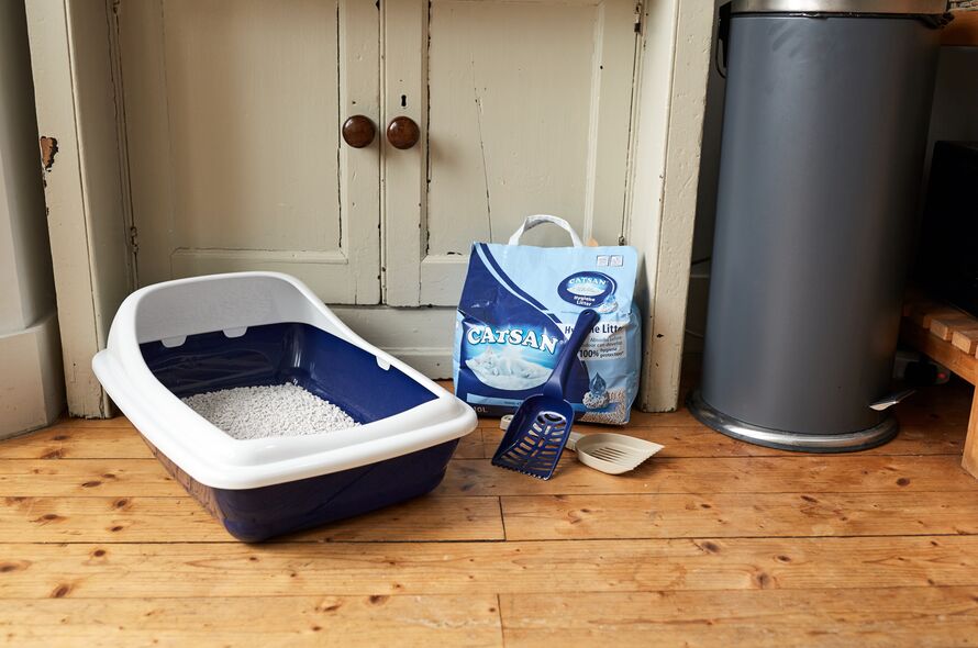 Cat Litter Trays Battersea Dogs & Cats Home